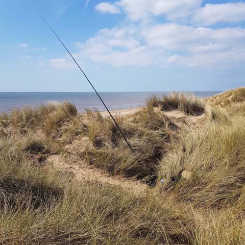 Roach pole antenna in the dunes